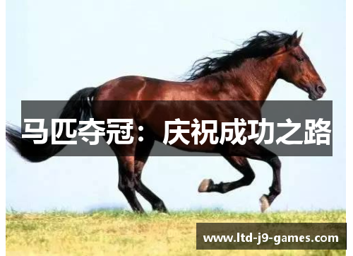 马匹夺冠：庆祝成功之路